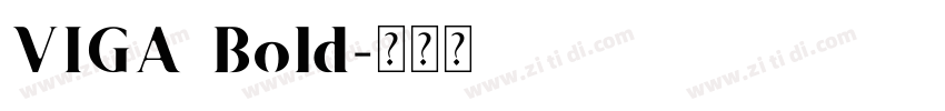 VIGA Bold字体转换